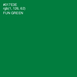 #017E3E - Fun Green Color Image